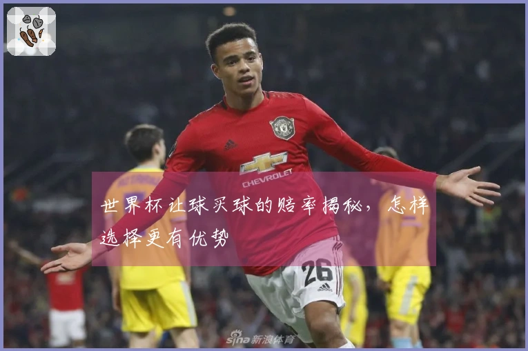 世界杯让球买球的赔率揭秘,怎样选择更有优势