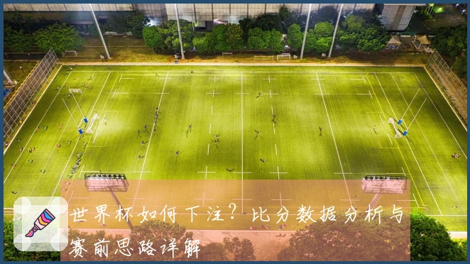 世界杯如何下注？比分数据分析与赛前思路详解