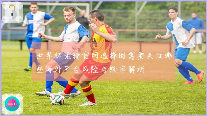 世界杯竞猜官网选择时需要关注哪些海外平台风险与赔率解析