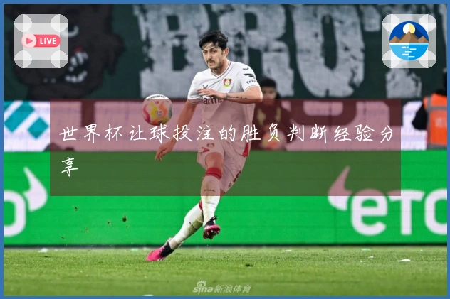 世界杯让球投注的胜负判断经验分享