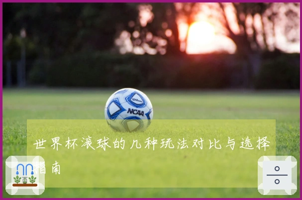 世界杯滚球的几种玩法对比与选择指南