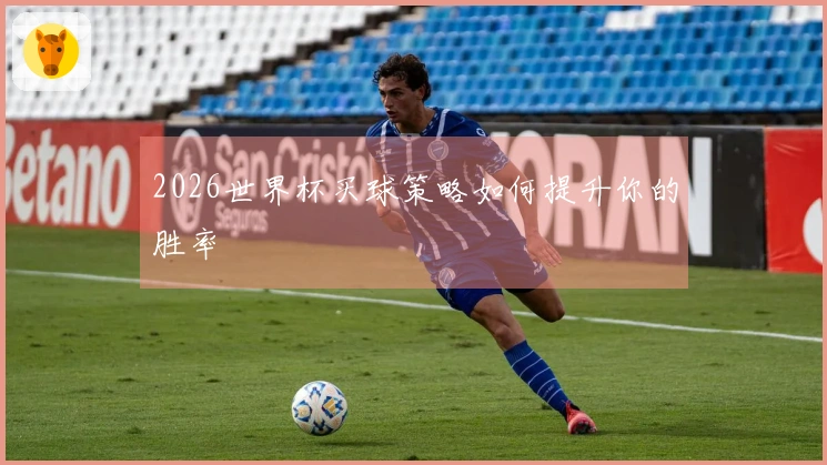 2026世界杯买球策略如何提升你的胜率
